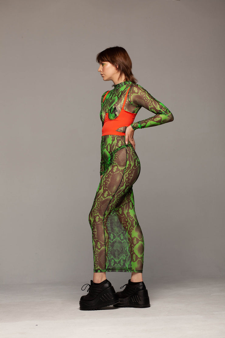 aGreen snake mesh, floor length dress.