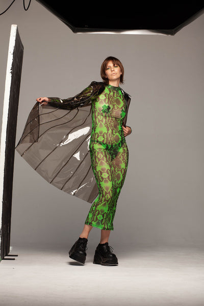 Green snake mesh, floor length dress.