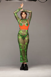 Green snake mesh, floor length dress.